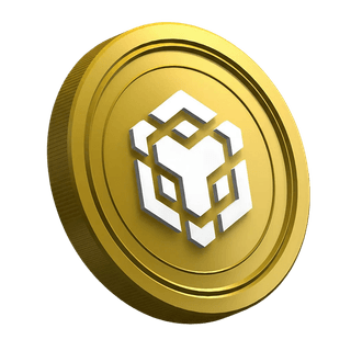 Binance BNB cryptocurrency coin displayed on a guide page for new traders
